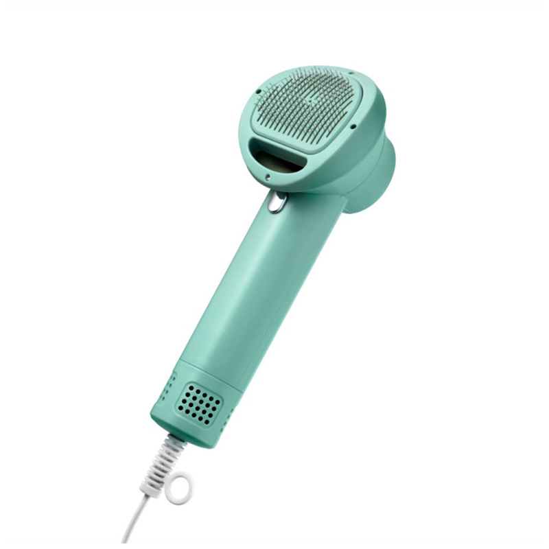 2 sa 1 Smart pet hair dryer
